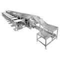 Kamflex Stainless Steel Special Application Conveyor